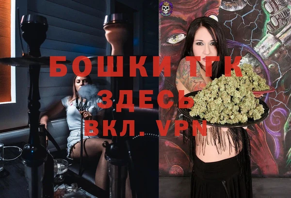 гашик Вязники