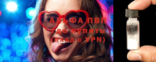 стаф Вязьма
