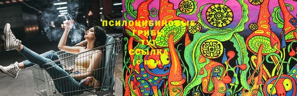 гашик Вязники
