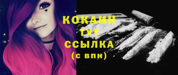 стаф Вязьма