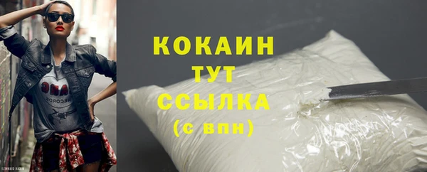 стаф Вязьма