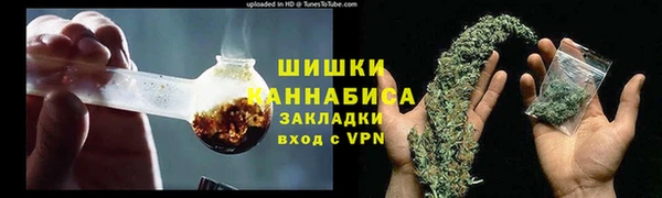 стаф Вязьма