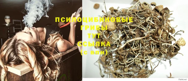 стаф Вязьма