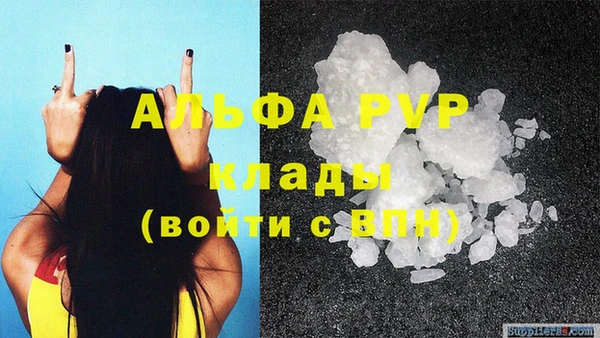 гашик Вязники