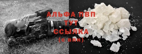 стаф Вязьма