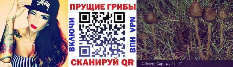 наркошоп  мега онион  Псилоцибиновые грибы мицелий  Батайск 